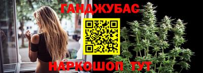 тгк Будённовск